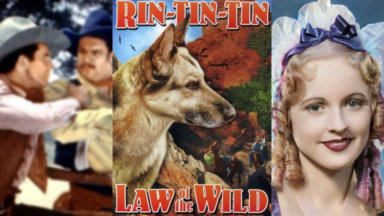 LAW OF THE WILD (1934) Rex, Rin Tin Tin Jr. & Ben Turpin | Action, Crime, Western | B&W