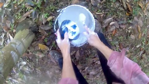 胶水刚滴完就下雨，真是天助我也，产量高了许多
