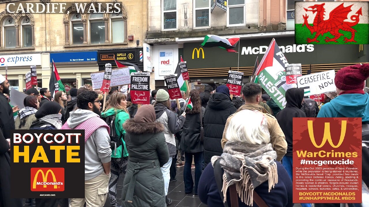 Pro-Palestinian vs McDonald's on St. Marry Street, Cardif