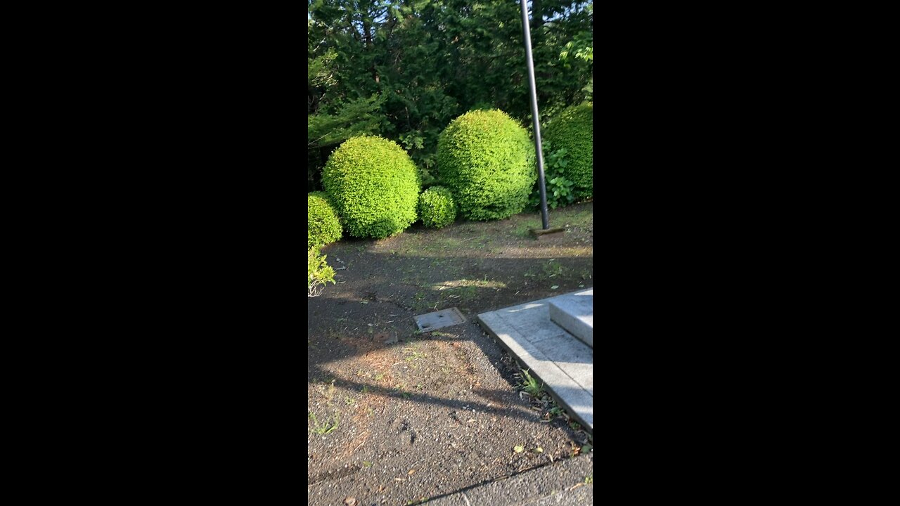 Temple in Japan