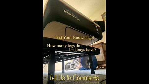 How many legs do bed bugs have?