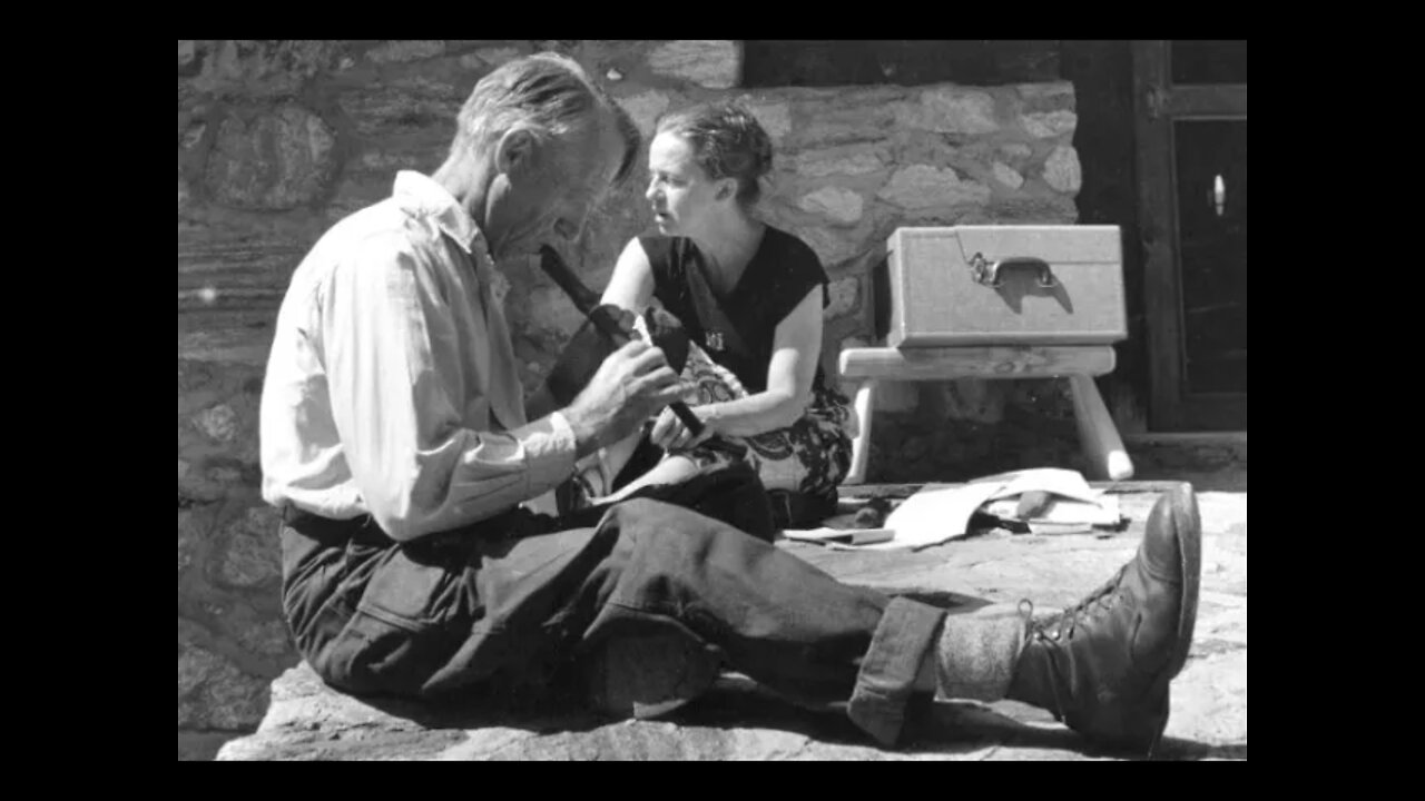 다이어트 불변의 법칙, 하비 다이아몬드, 아침식사, 왜야생동물은 병과비만이 없는가, 과일도 언제먹느냐가중요, 아침 오전12시이전, 과일주스, 헬렌니어링, 스코트니어링, 얼룩말