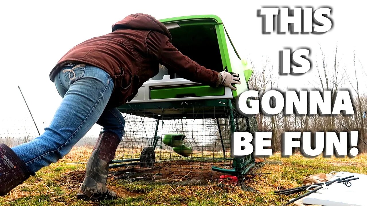 Using the Eglu Chicken Coop to Hatch Chicks! - Plus Last Maple Syrup Tour!