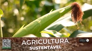 Com SH-24 da Lottus Biosoluções agricultores de todo o Brasil estão alcançando mais produtividade