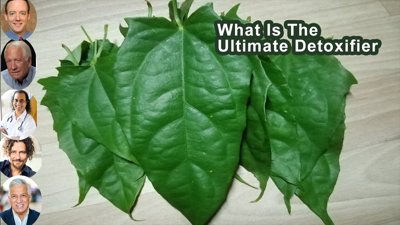 What Is The Ultimate Detoxifier And Why Is It The Most Likely To Improve Your Lifespan?