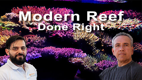 VargasReef Chronicles: Master Modern Reef Techniques with Euro Corals