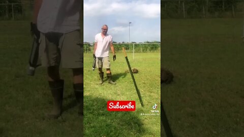 Is SHE FLIRTING With ME? #shorts #viral #tiktok