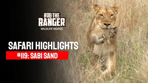 Safari Highlights #119: 24 & 25 October 2011 | Sabi Sand Nature Reserve | Latest Wildlife Sightings