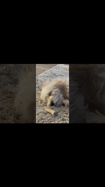 How I feel After Walking 20,000 Steps Two Days in a Row