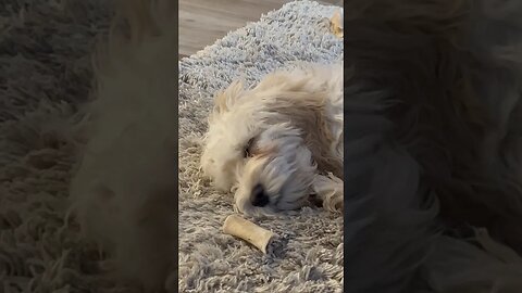 How I feel After Walking 20,000 Steps Two Days in a Row