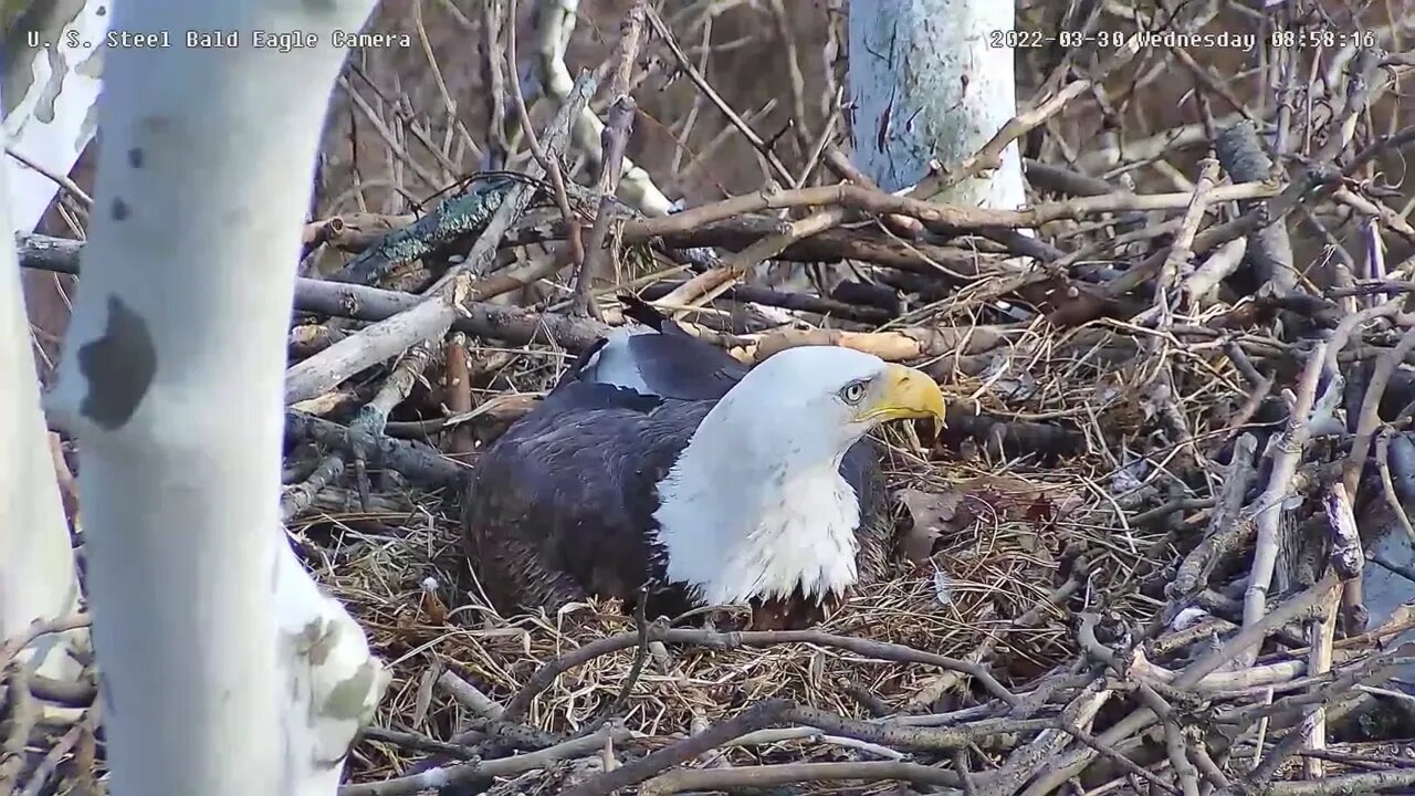 USS Eagles - Dad breaking sticks