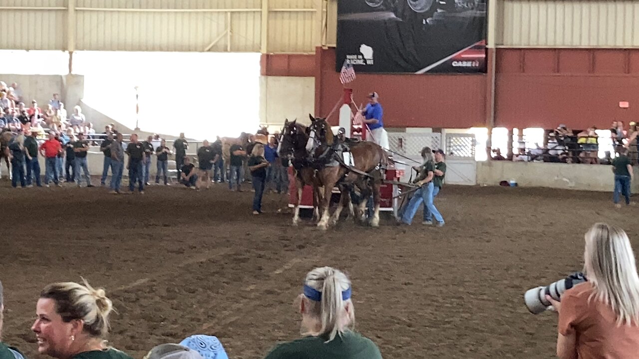 Team 1 lightweight horse pulling