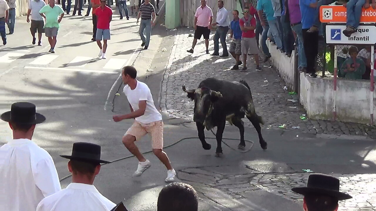 Touradas 2014 Clip 5 - Diversas Localidades Ilha Terceira - Açores - Portugal