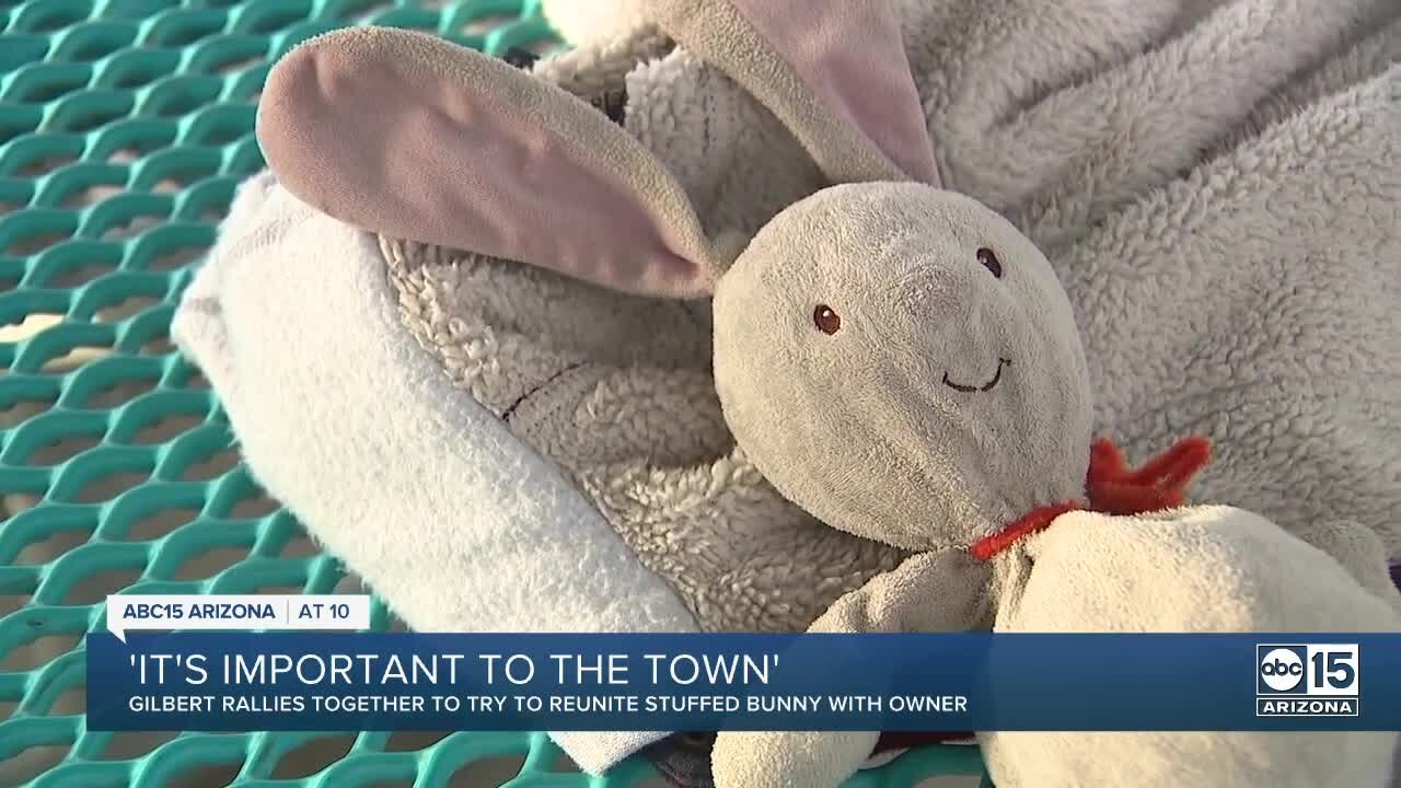 Gilbert park rangers looks to reunite "Mr. Rabbit" with original owner