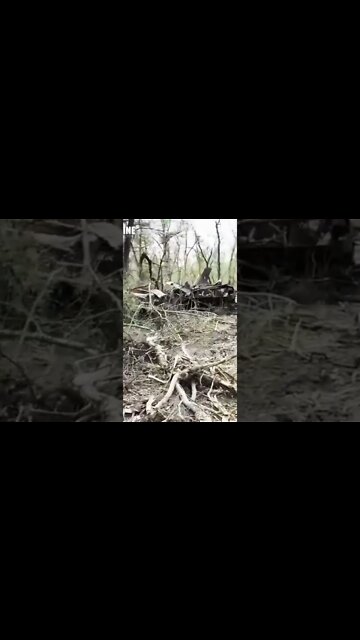 Breaking News (War-Related). **Warning** **Graphic Content** Viewer Discretion Advised 18+ #shorts