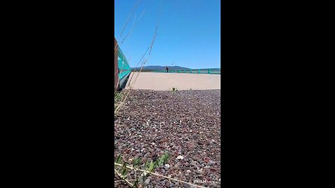 4thofJuly Flag Wave outside of Las Vegas NM🇺🇸