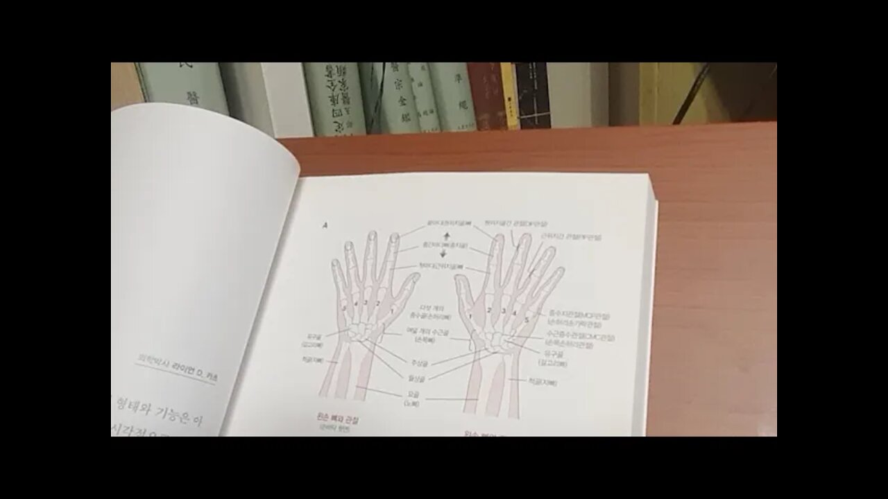 손의 비밀, 쇼 윌기스, 해부학, 시너지, 관절뼈, 동맥, 정맥, 근육, 수근골, 중수골, 요골,척골,팔뚝
