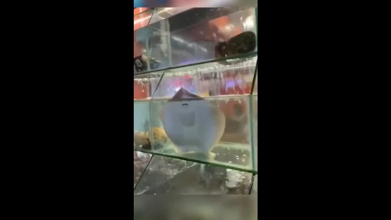 🤣