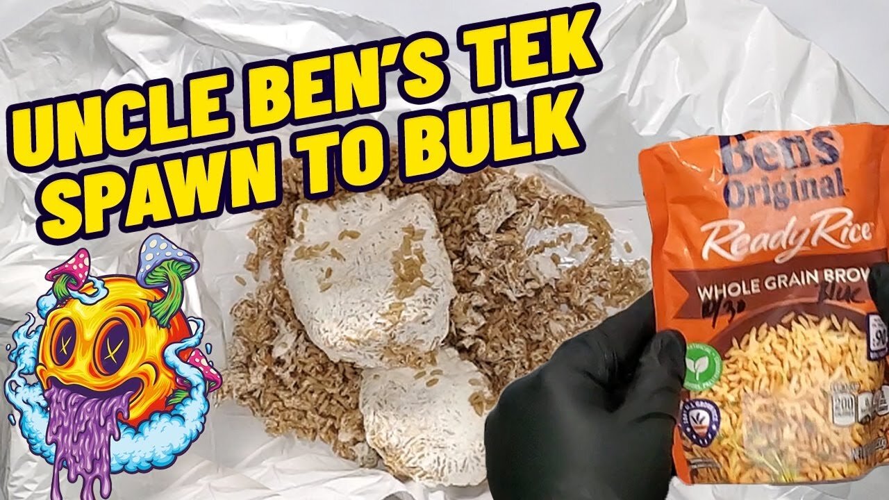 Uncle Ben's Tek Spawn To Bulk for Monotubs & Shoeboxes - S2 EP1