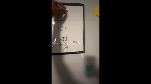 Day 5