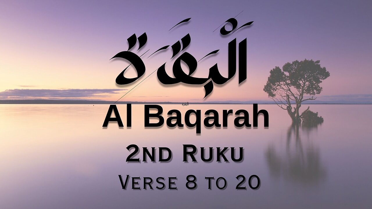 Beautiful Recitation | Surah Al Baqarah | سورة البقره | Ruku 2| Verse 8 to 20|Walid Marei Al Shehri