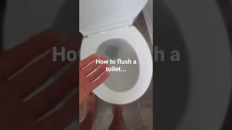 How to Flush a Toilet