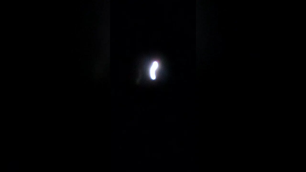 🌚 Bark at the MooN 🌝