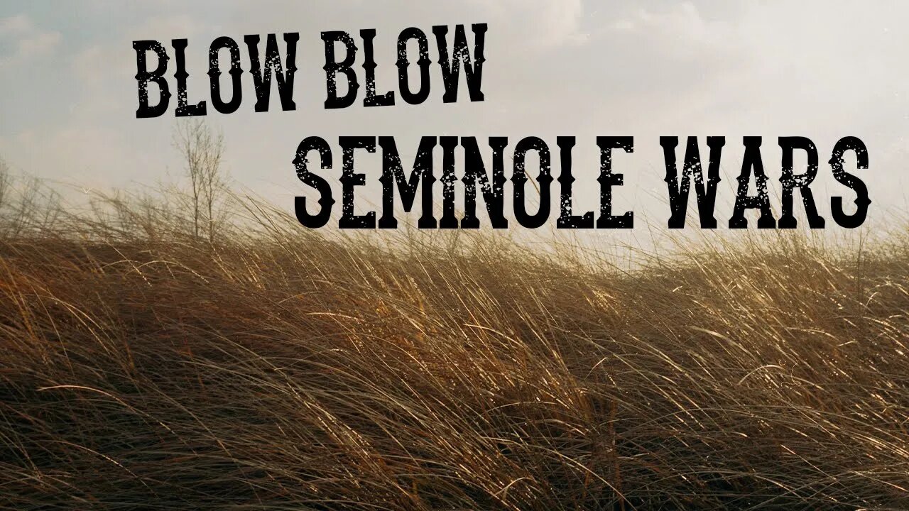 The Seminole Wars - A Historical Look