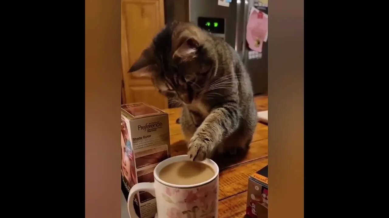 Сниматель пенки😻