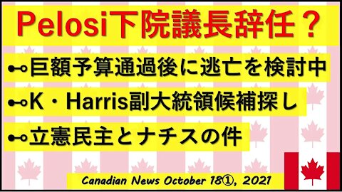 Pelosi議長を辞任?!/副大統領候補探し/立憲民主党候補者のナチスの件