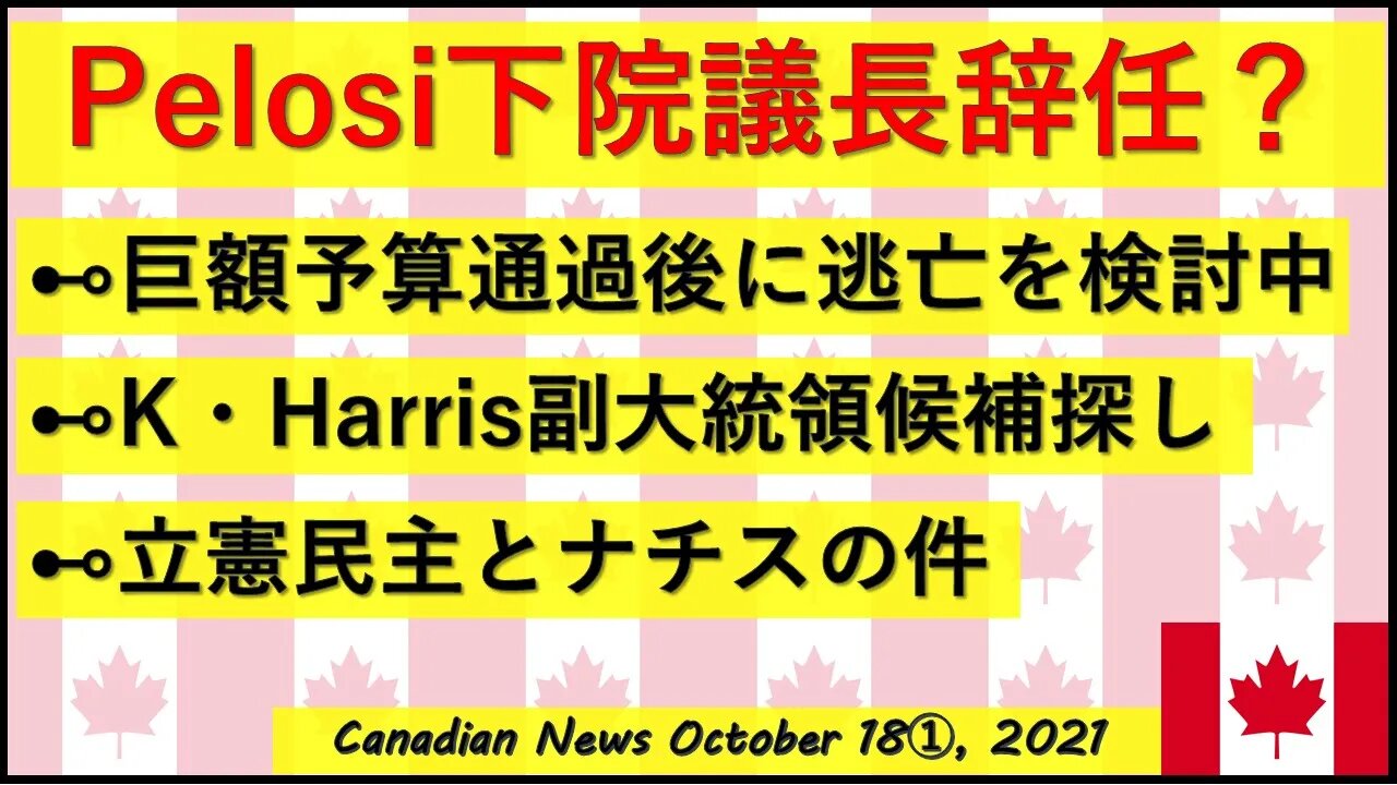 Pelosi議長を辞任?!/副大統領候補探し/立憲民主党候補者のナチスの件