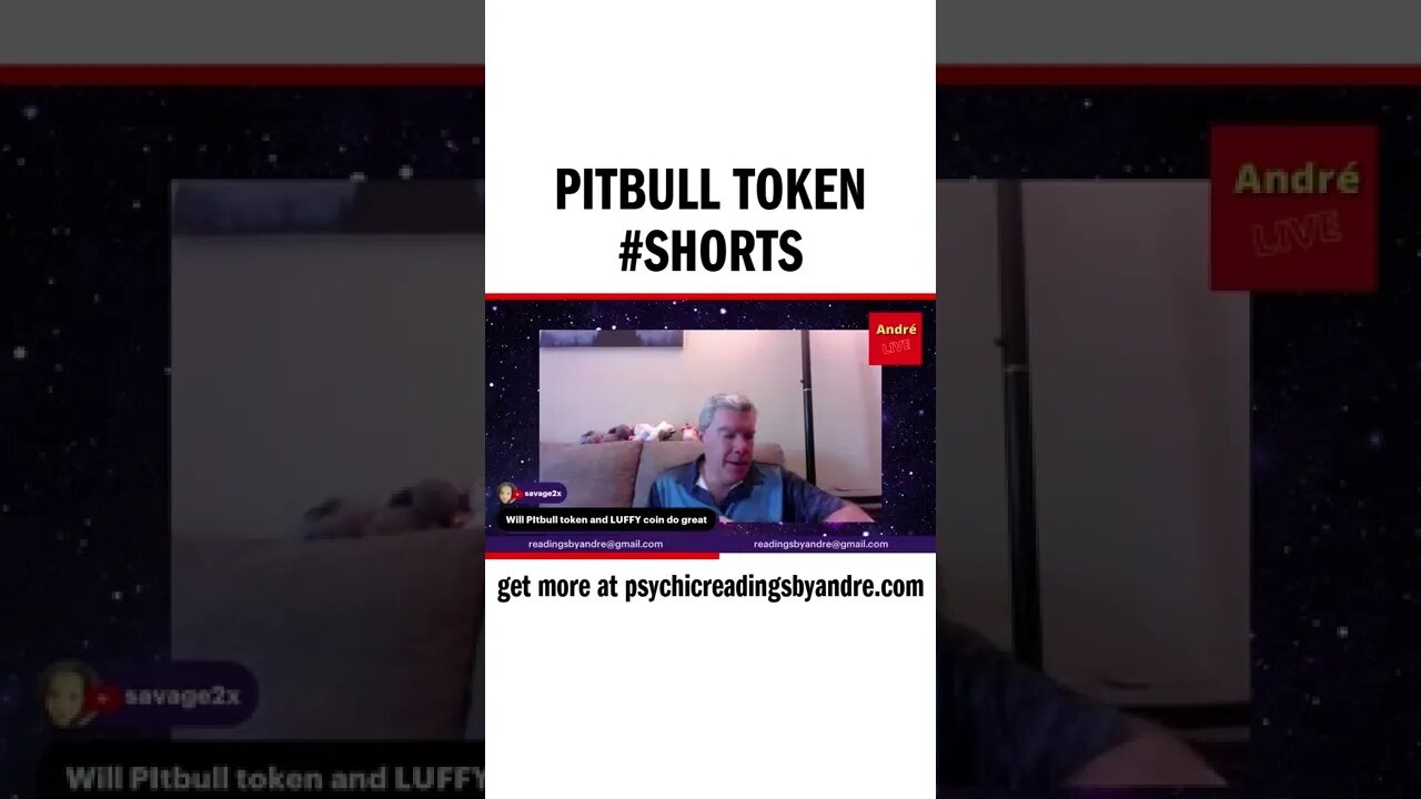 Pitbull token #shorts