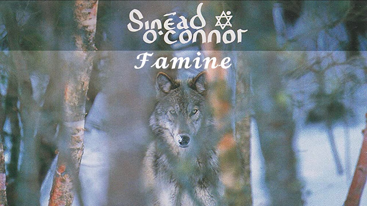 THE PROTEST SERIES: “Famine (MIA Video Mix)” by Sinéad O’Connor. [One of the Original 'Conspiracy Theorists'] #Forgiveness!