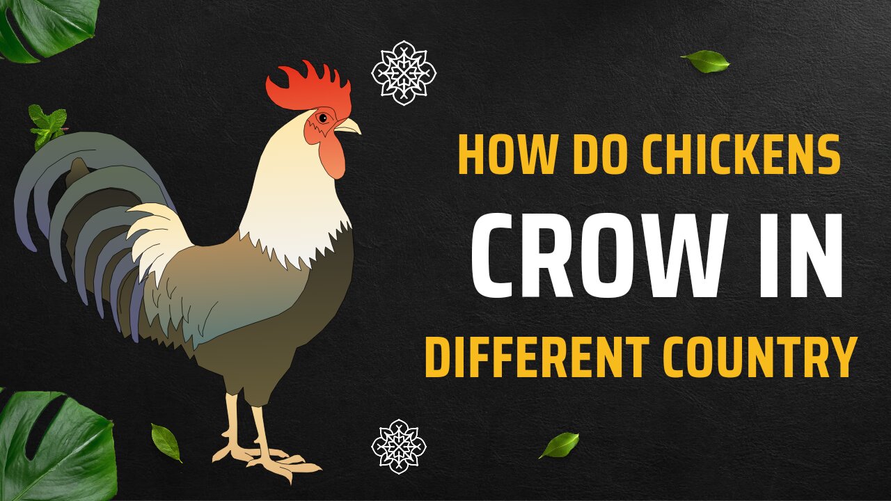 How do chickens crow in other countries