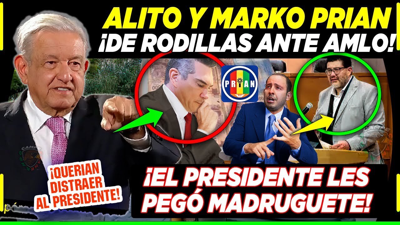 AMLO ¡ARRODILLA A ALITO Y MARKO CORTEZ AHORA! MAGISTRADO ¡LE PIDE PIEDAD AL PRESIDENTE!