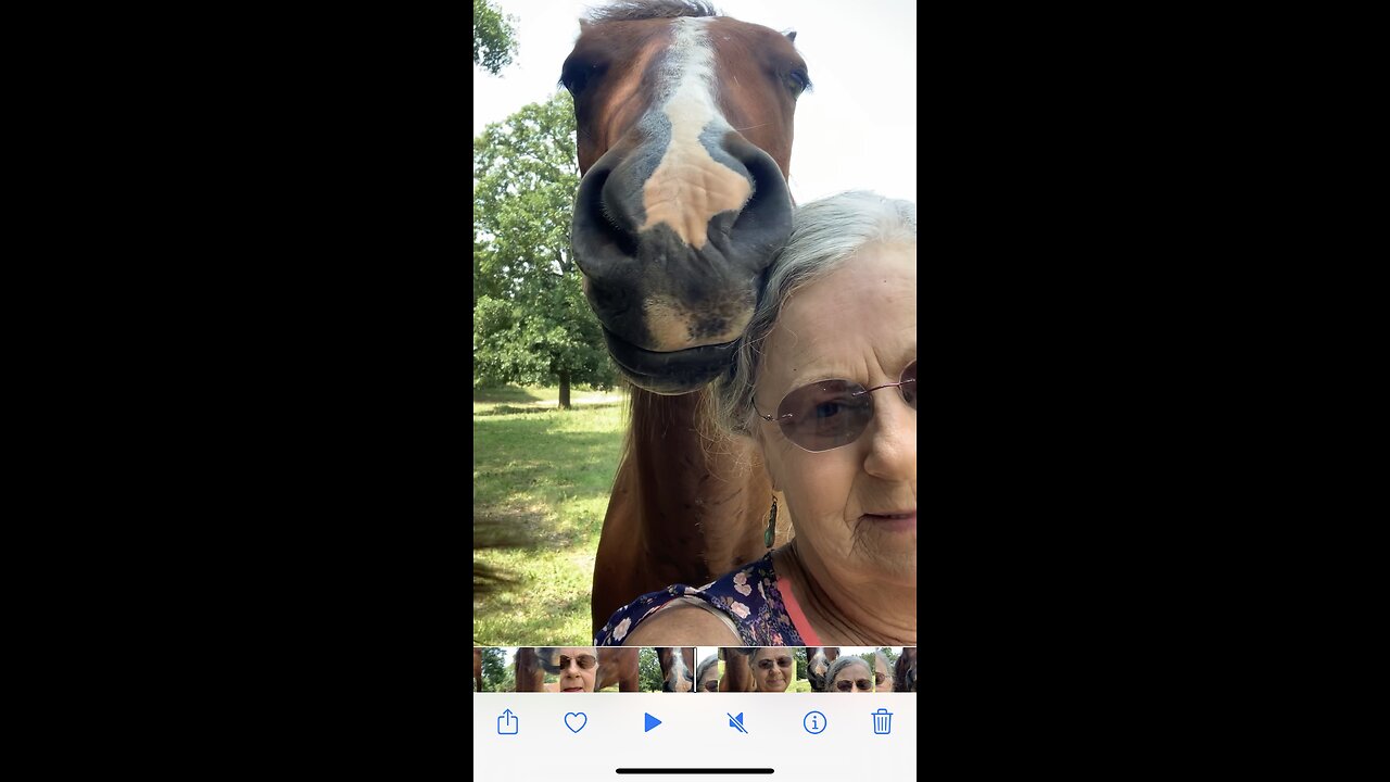 Colt loves messing up owners hair!!!