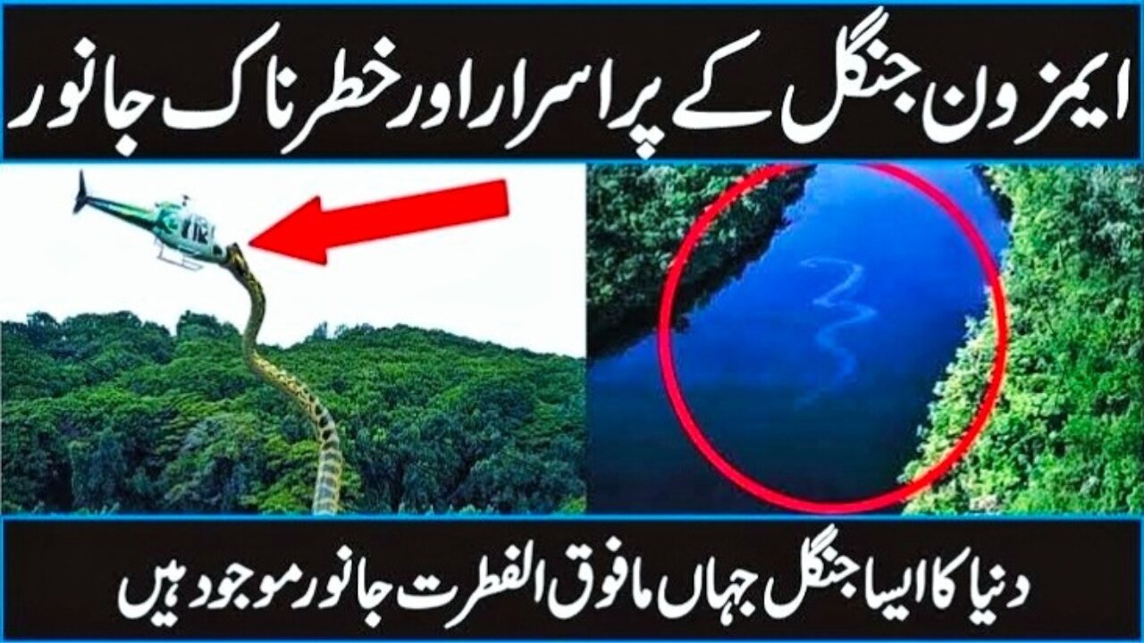 Animals of Amazon Jungle | Amazon Rainforest Documentary in Urdu Hindi