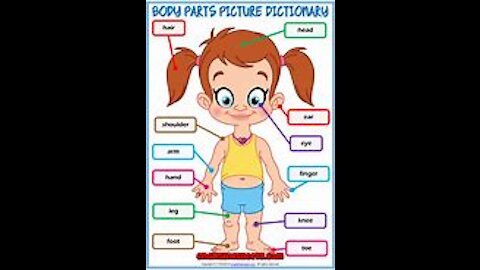 learning parts of the body for kids