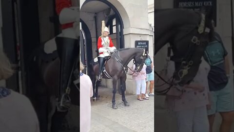 The queen's guard you can touch the horse but not my boot #horseguardsparade