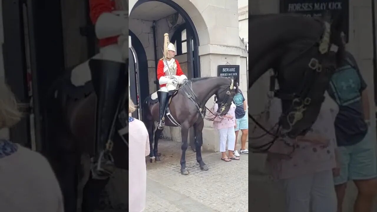 The queen's guard you can touch the horse but not my boot #horseguardsparade