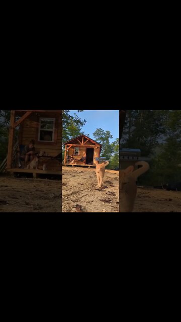 living down a dead-end windy road is pretty incredible! #homestead #nature #homesteading #offgrid