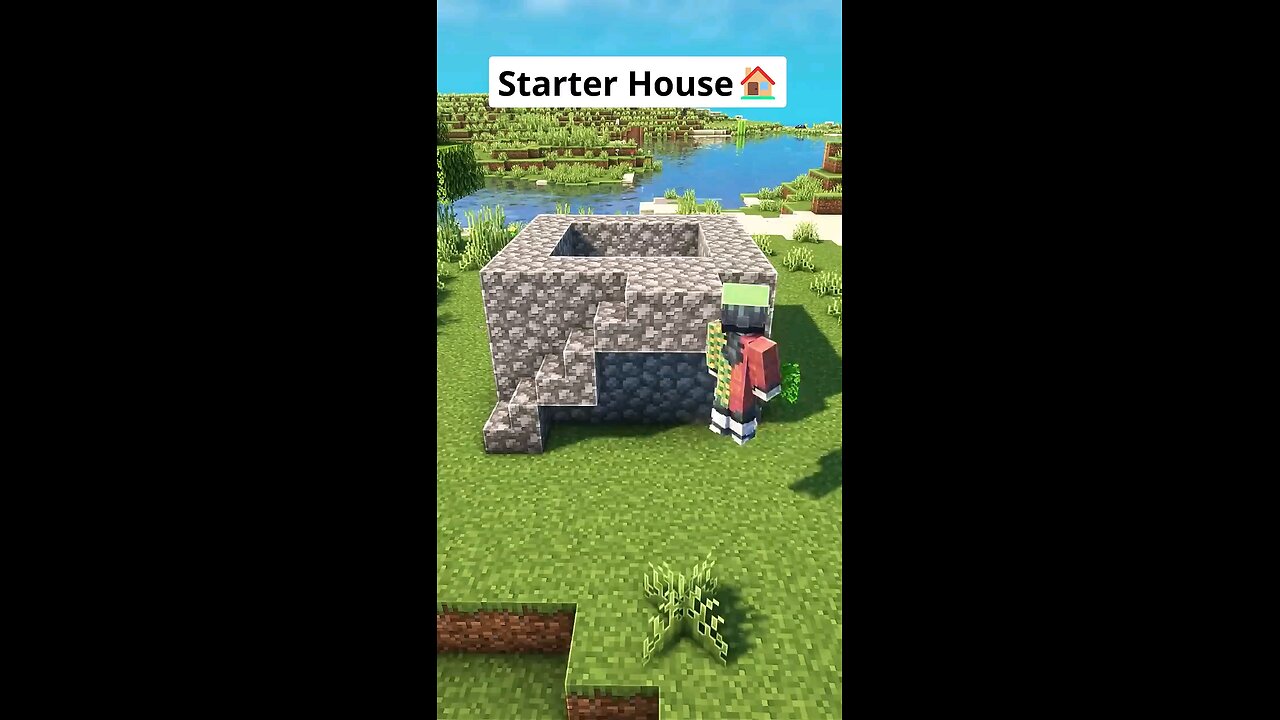 Starter Minecraft house