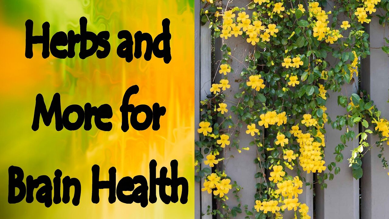 Herbs and More for Cognitive Function