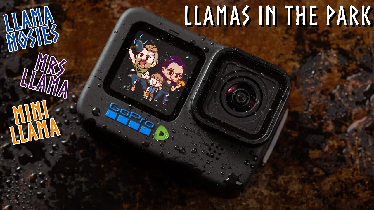 FIRST GOPRO LIVESTREAM WITH THE LLAMA FAMILY!