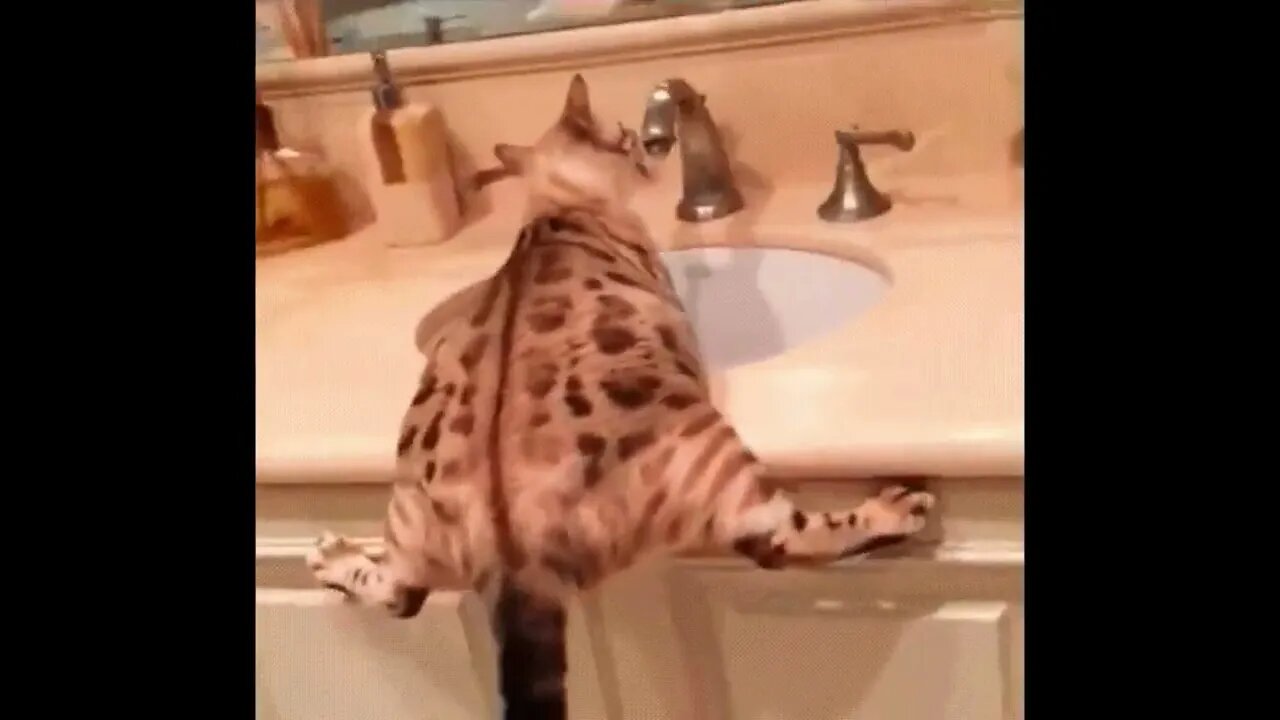 Rather Unconventional