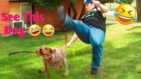 Don't laugh 😂 Animal Videos 2023 Best Funny Cats & Dogs Videos