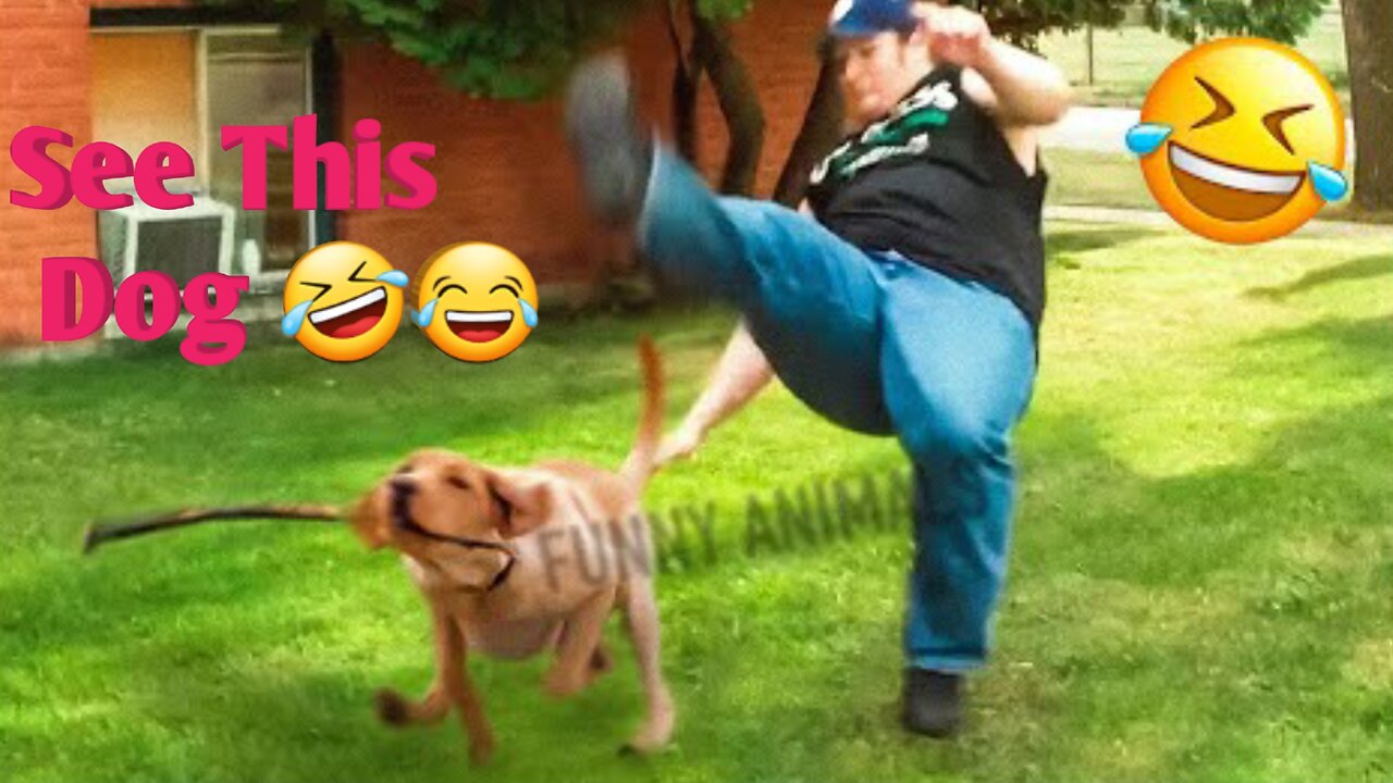 Don't laugh 😂 Animal Videos 2023 Best Funny Cats & Dogs Videos