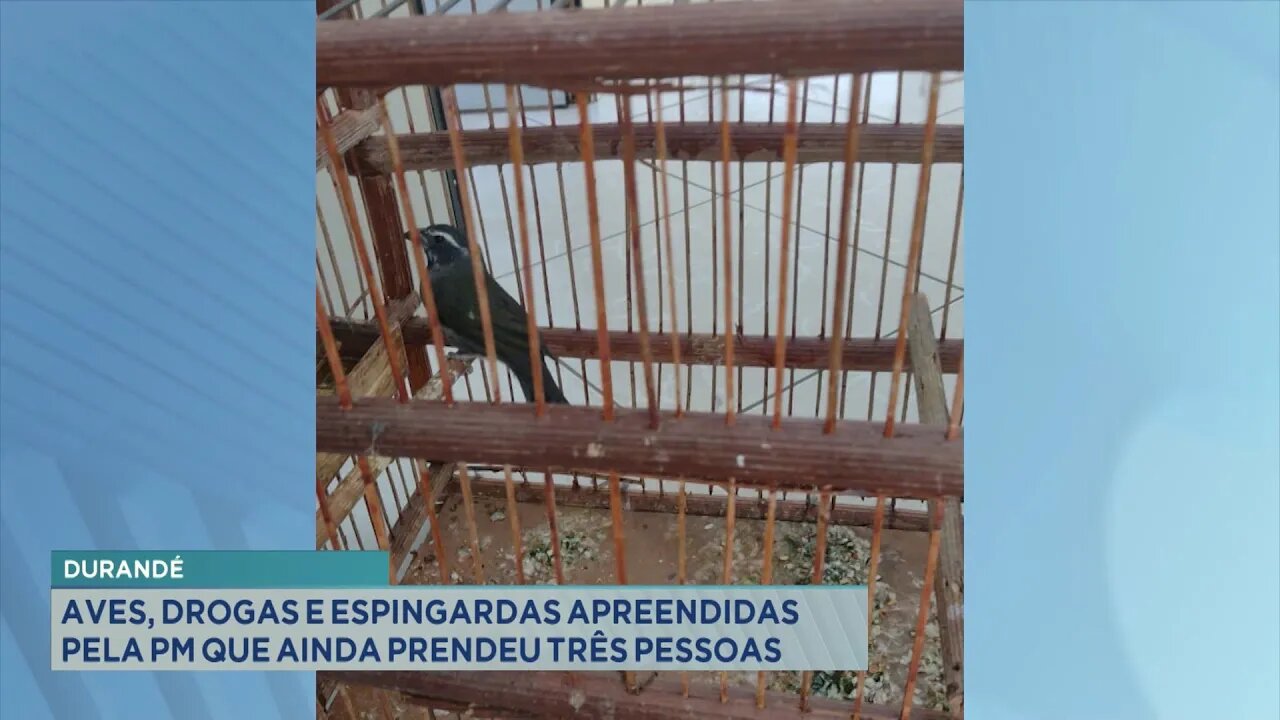 Durandé: Aves, Drogas e Espingardas Apreendidas pela PM que ainda Prendeu três Pessoas.