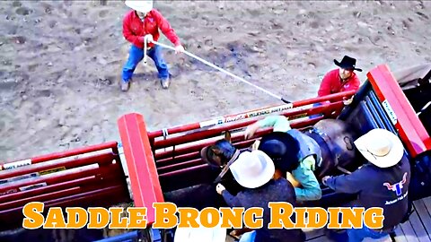 Saddle Bronc Riding at Jackson Hole Rodeo Wyoming