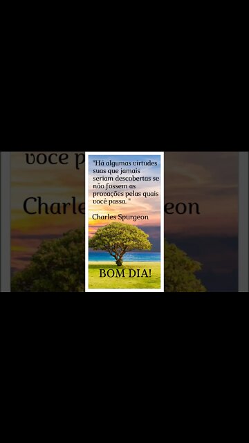 MENSAGEM POR UM BOM DIA!